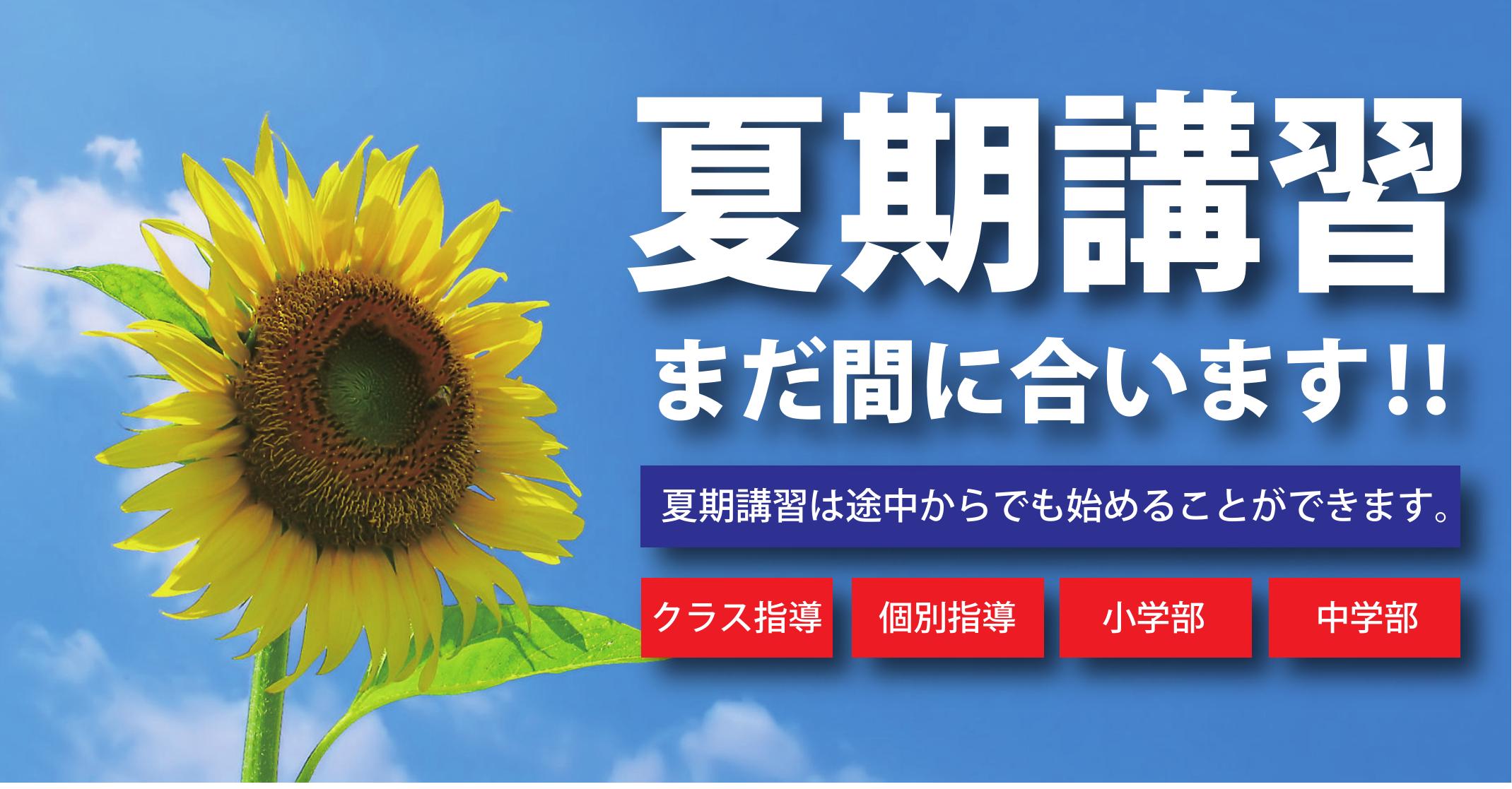 【藤沢校】夏期講習受付中