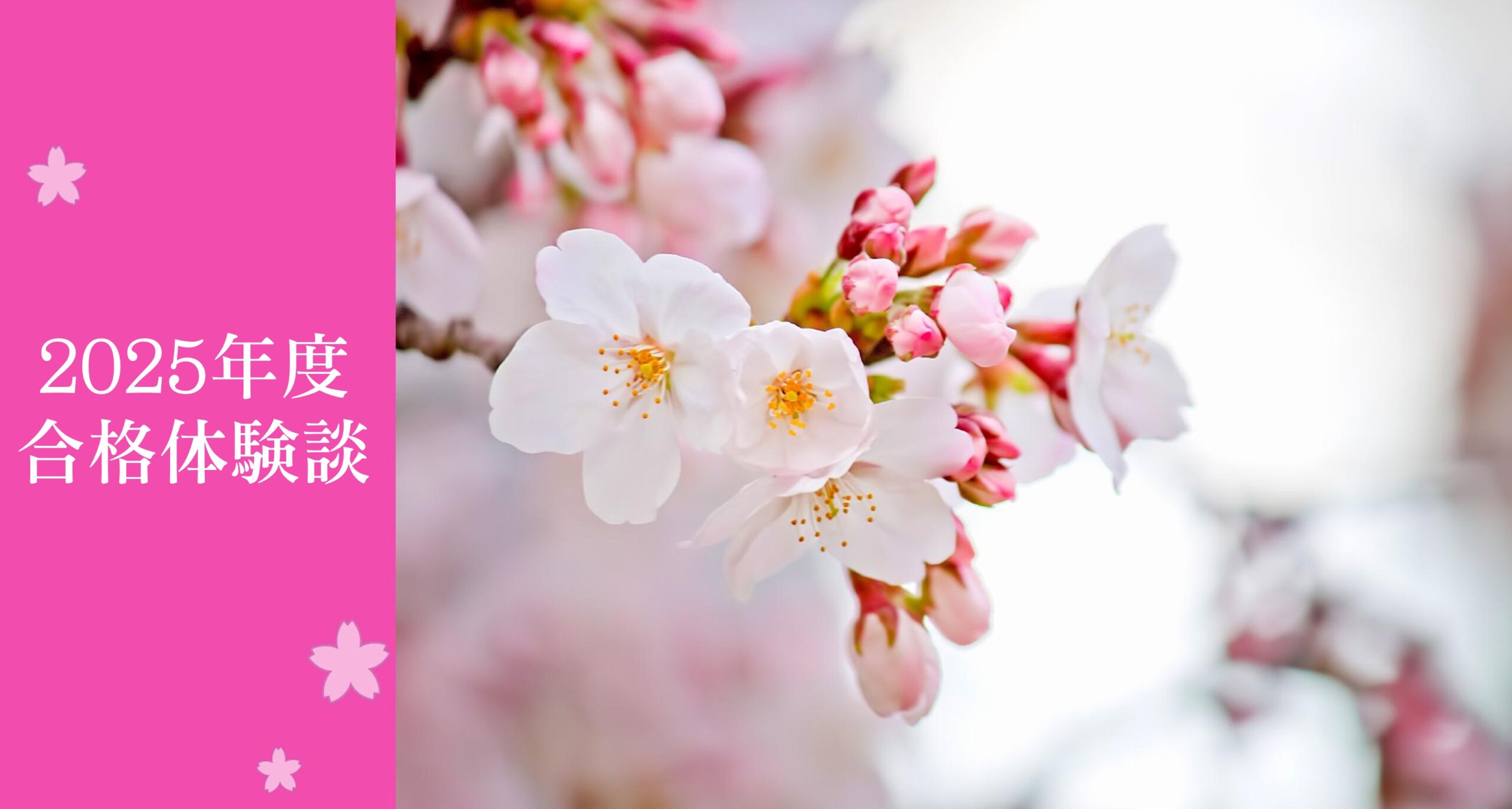 若葉校【🌸2025年度合格体験談🌸】